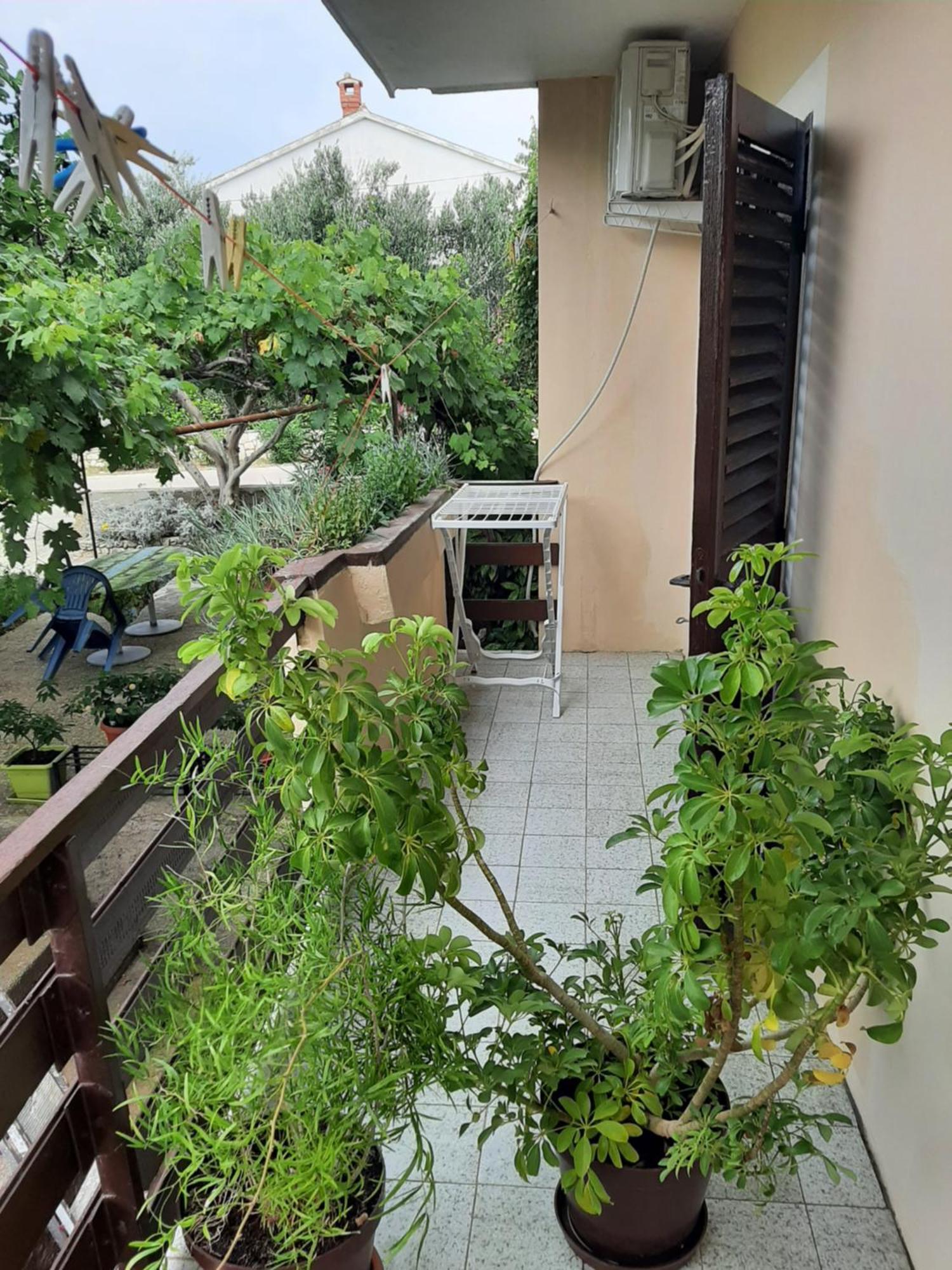Apartmani Marija Povljana Pokoj fotografie