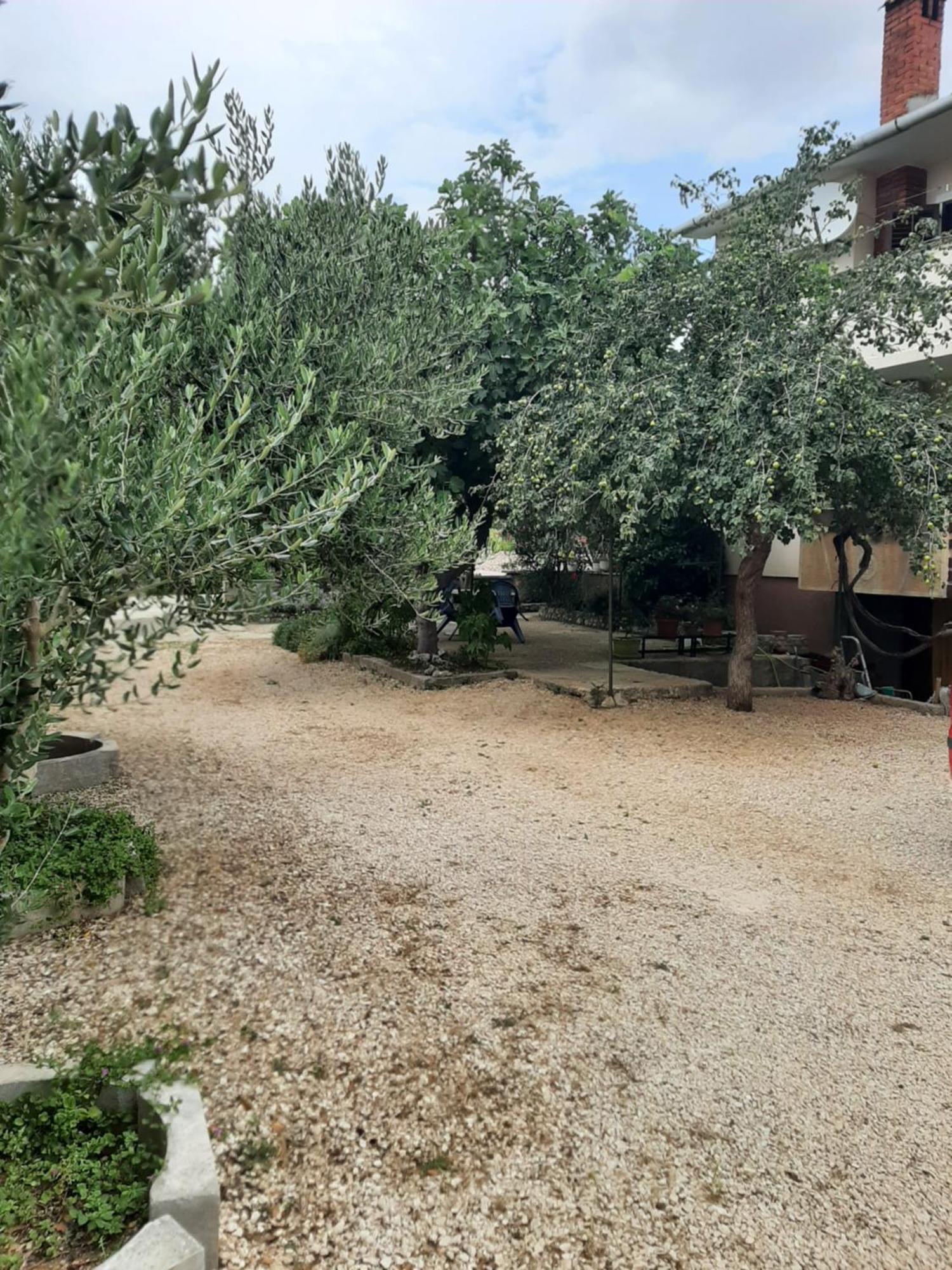 Apartmani Marija Povljana Pokoj fotografie