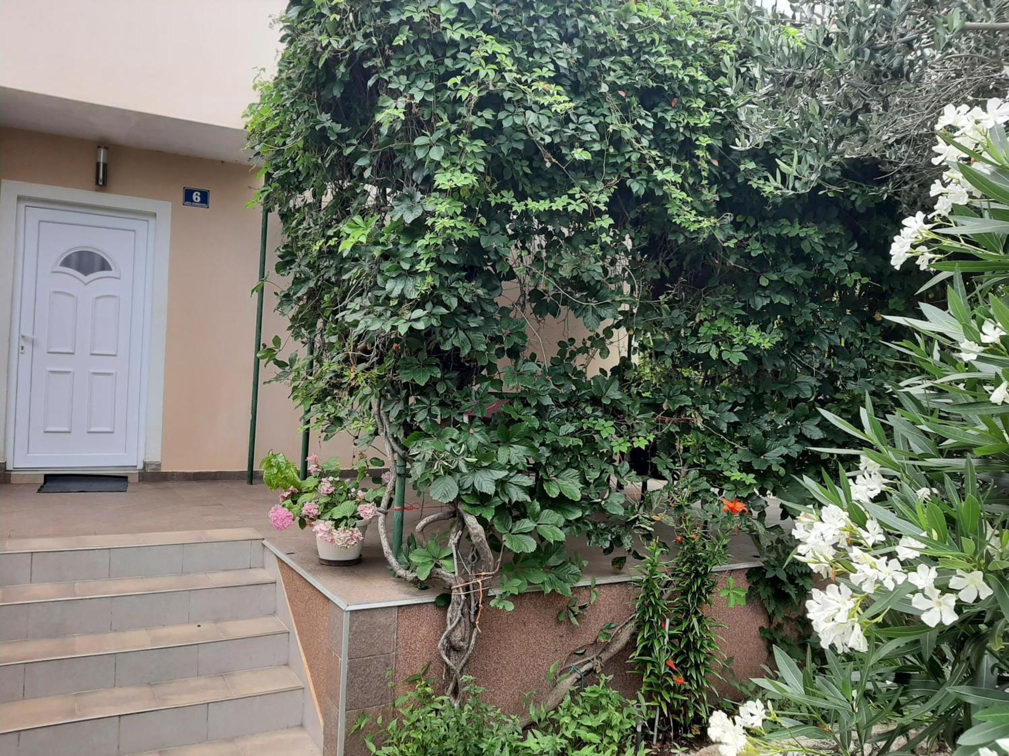 Apartmani Marija Povljana Pokoj fotografie