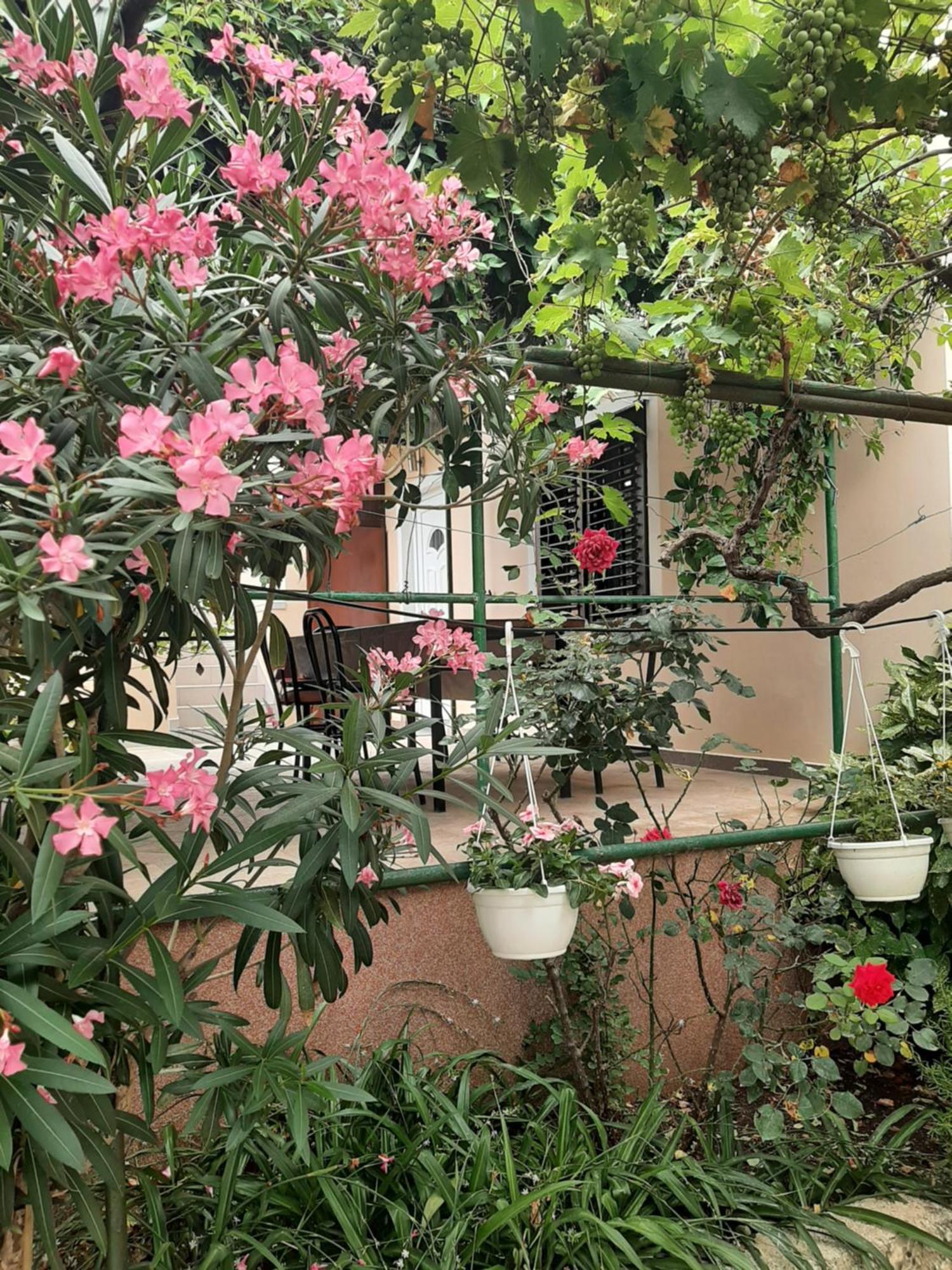 Apartmani Marija Povljana Pokoj fotografie