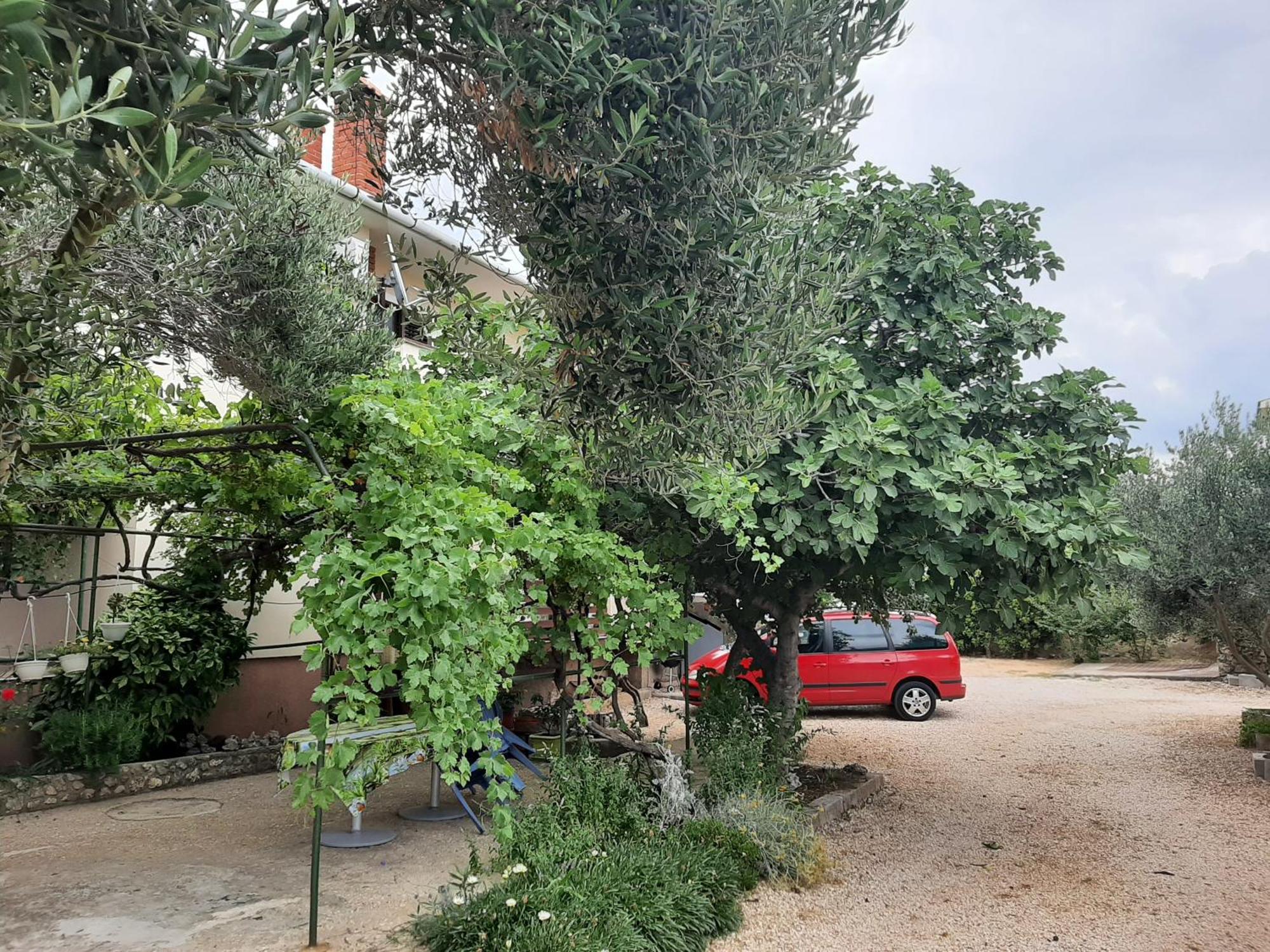 Apartmani Marija Povljana Pokoj fotografie