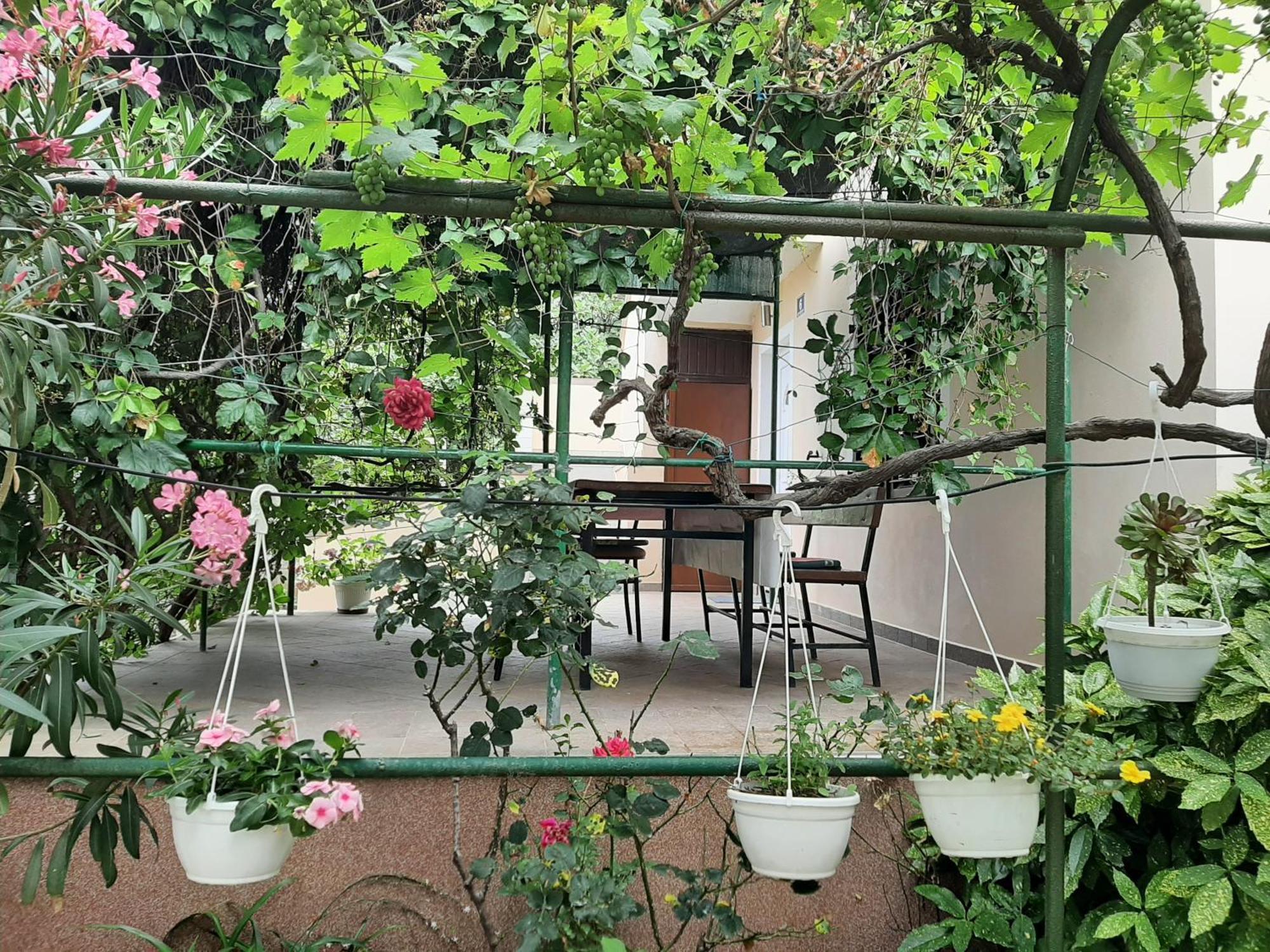 Apartmani Marija Povljana Pokoj fotografie