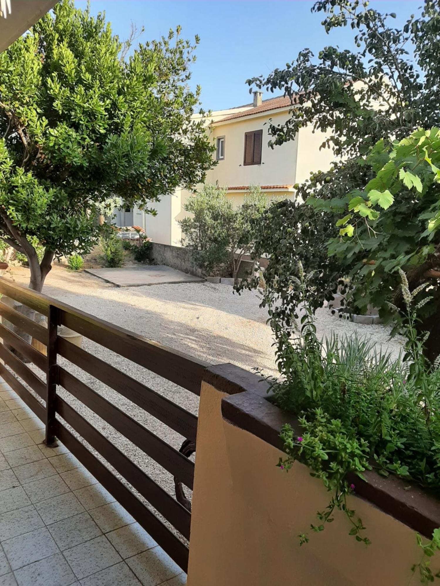 Apartmani Marija Povljana Pokoj fotografie