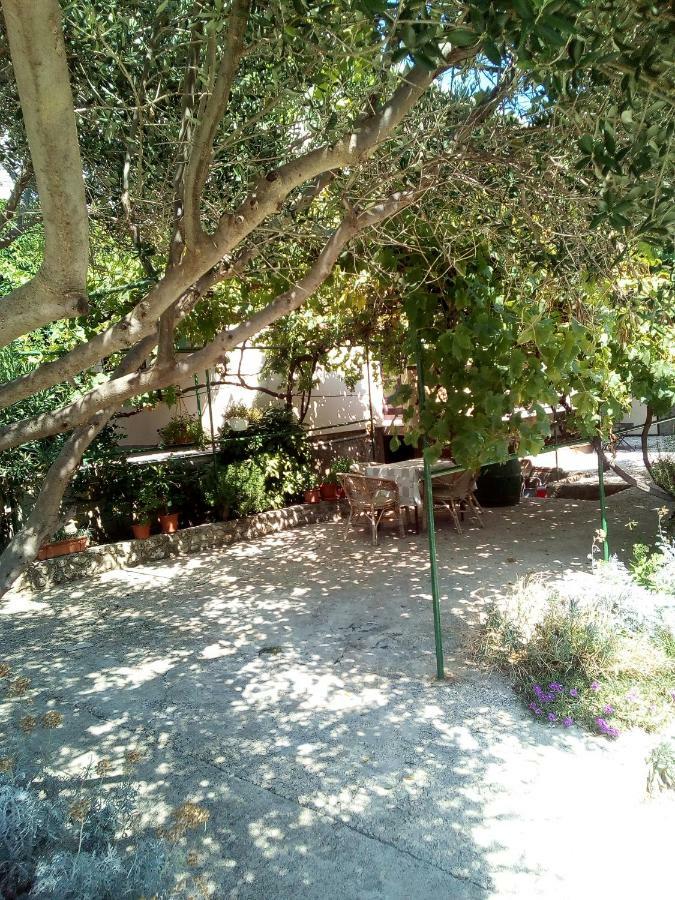 Apartmani Marija Povljana Exteriér fotografie
