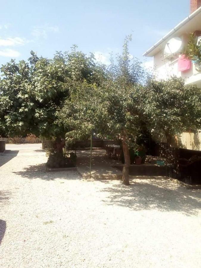 Apartmani Marija Povljana Exteriér fotografie
